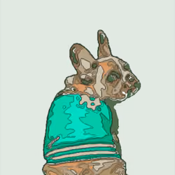 Dogelative Secret Society - NFT Collection - Super Rare J