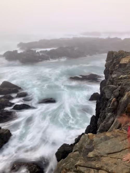 Item #41540088115712747085042347828727921897877758860552176514137011687827900989445 Media