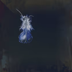 72932321608233697749117711298000337470595698923978217717692158337415919960065