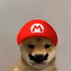 63923600519931118237435410532122469759880506138640015303386173936349355180033