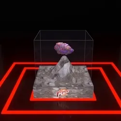 30416664768498730083160680636723480070814186252642691524355120823102846533633