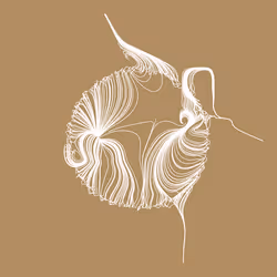 92894242093795326381736893620758818481744636716678827475131324214044774105089