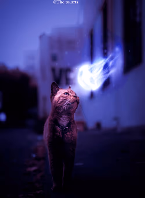 Item #100332660337477329654418110474340916700299838510617895240807257279682557509633 Media