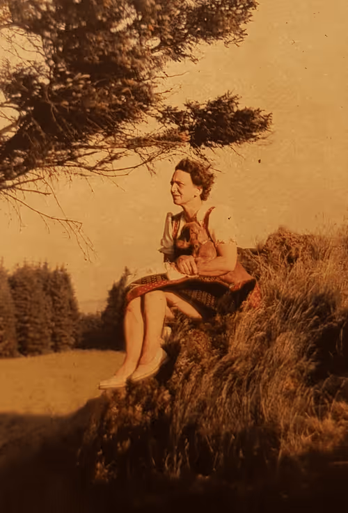 Item #99229842247812193492092246635526113316383887000586294441888985071223002103809 Media