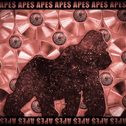 48790520787155310426102062731270564561928034817995506544027698504069394989556