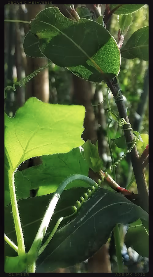 Item #3787080761074609709675817509753112159059746763483256848434353709529012633601 Media