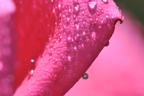 Item #1864235862486587087410937482126233260088053295403624046406936182384324771841 Media