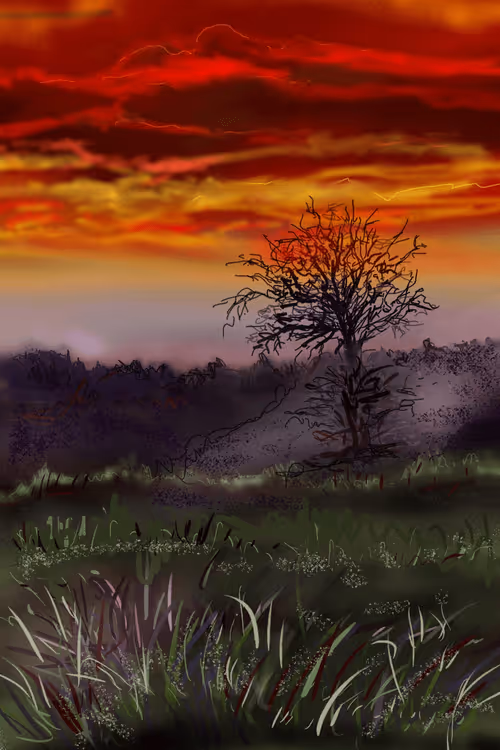 Item #30534973427905727940214749291752823808743459072410301874692626372685805387777 Media