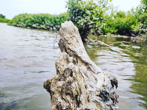 Item #25755729026420492831913184681258172914900047254576053712141864099573145796609 Media