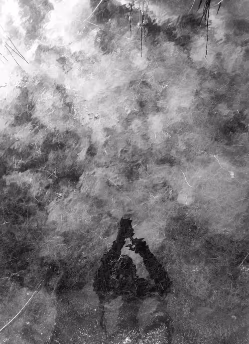 Item #48582175902660253739567181783807763023013925201969392418370611525808593829889 Media