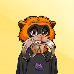 67182258498829374843706483608151563094647588442130083225553784346718138007553