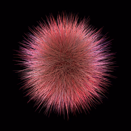 Item #108707963234576619286374292620821639189939007093224297744340406426556059090945 Media