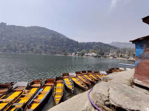 Item #28492546344238997982627040595659913257173957231691920694804582509072154099713 Media