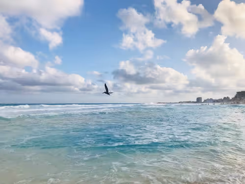 Item #68992994871678840230737782920192836034454221596587270053419323761468773498881 Media