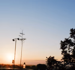 Sun rise #1