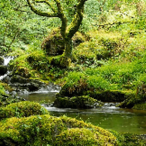 Item #77578914739546887048818332313932665161765433079396936366754535086582512222209 Media