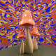 3038717031380292415293921678609169983314363398216391550272941530703428845569