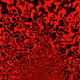 32600617674957584679538783048317618297026437852589709233631827302266085310564