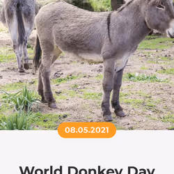 84967509520196306123188380026293221301468344843151761076076916513357837631489