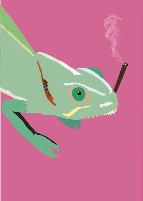 Item #46679994496108624530020148644785155104419172278486625888968680980614628769793 Media