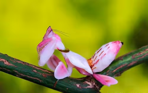 Untitled Collection #253196995