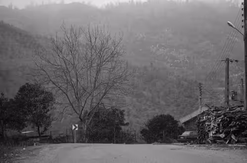 Item #88588118460762935851954819290277197949236789267554687293919040397940210270209 Media