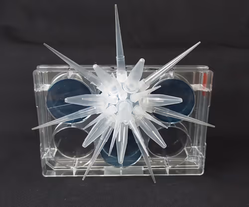 Item #108955583872739655741702358868652756405273862791069305959596897655527391100929 Media