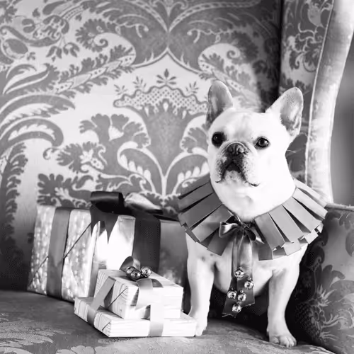 15081463501546268006596121588316872326209313817998412847676537183098619559937