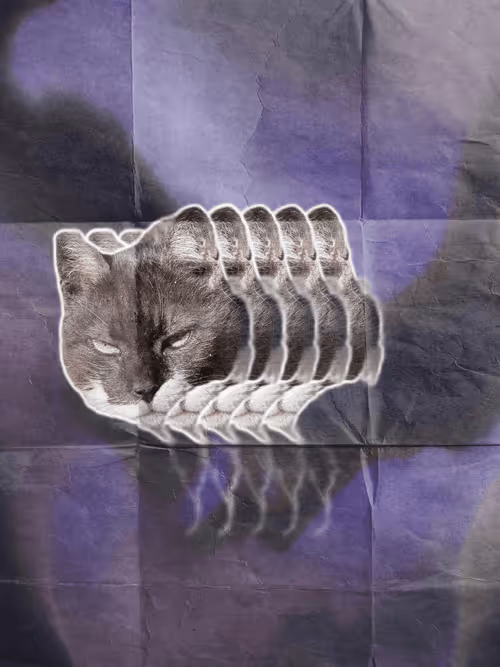 Item #102650025238985064889532626323507420633017859616961165632132730059556338532353 Media