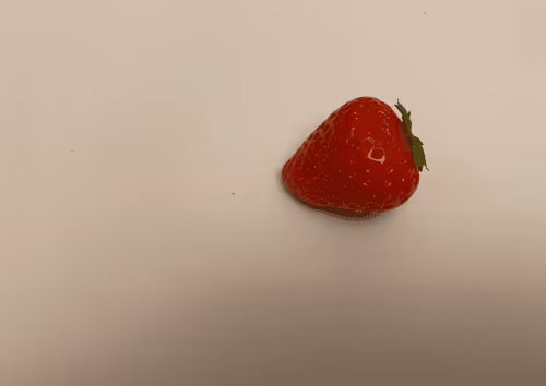 Item #69415303266762783838091346554203331785262091122040620382605275325496389795841 Media