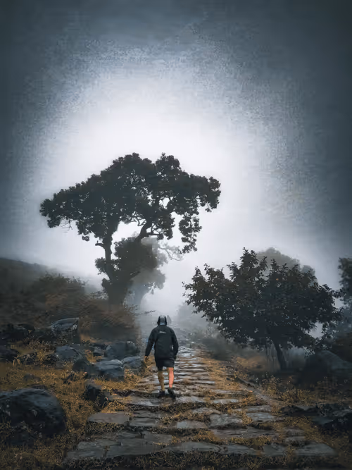 Item #48948276365238912954567628473331808806147926200792194996931408199122107236353 Media