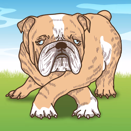 my bulldog