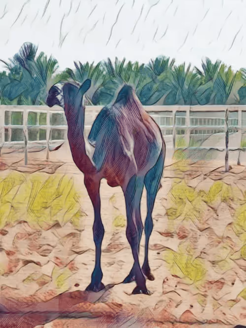 Item #36782780807699903135038144501557320909410292895804866127374726093010563497985 Media