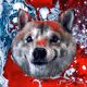 61326500194484161214249448872530349537083837517975677891813478086278526271489