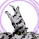 46321131039926041584187438854767688569254060604193555348659255205511557021697