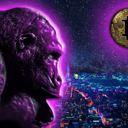 48790520787155310426102062731270564561928034817995506544027698464486976389123