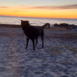 Baltic Sea#115