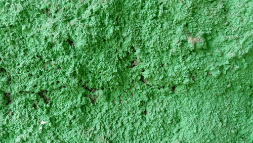 Item #65088530424906410424346658698811238044314943453762305253723678709495139139585 Media