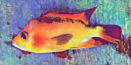 Item #85157456757101135776849577121691156072851928586232116450026823707287638507521 Media