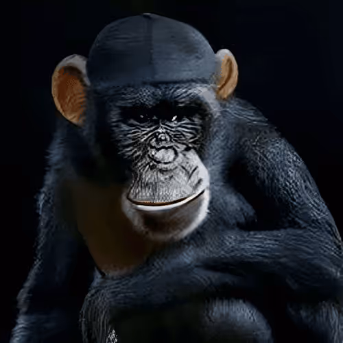 Item #53987918112360969741362458844154647940462192814194776722947166414033658052609 Media