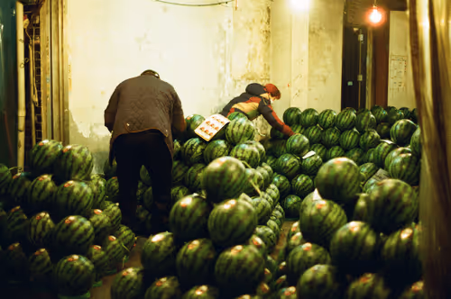 Item #60964587188490432994661471612417691522678150144608036691280545752867269509121 Media