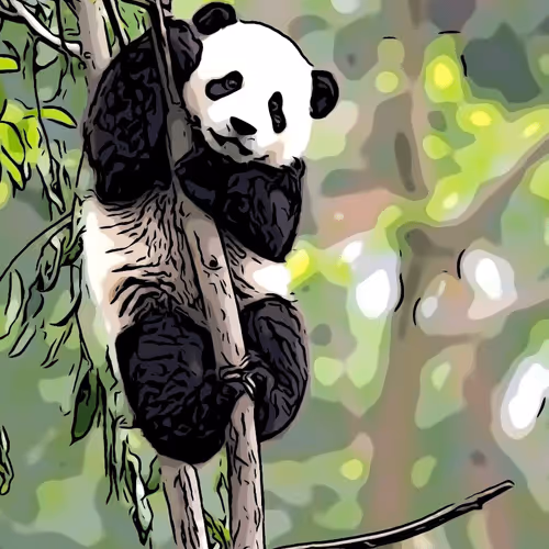 Panda