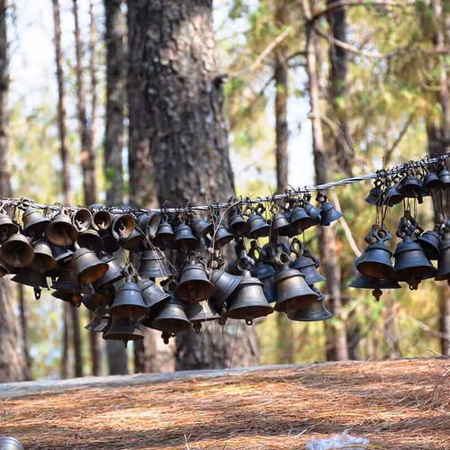 14571506913454205627656743203225782770632742565437799673199566816995268624385