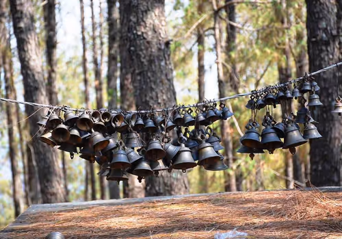 Item #14571506913454205627656743203225782770632742565437799673199566816995268624385 Media