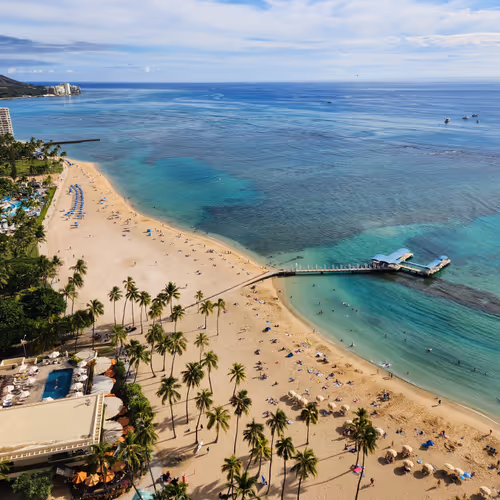 Untitled Collection #135027003