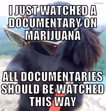 Item #50019202249894892371434277918318181364623497082798944916930856029012411547649 Media