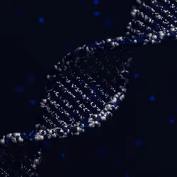 113395677080381858456097698969021148731173449515476865940740430444360688992257