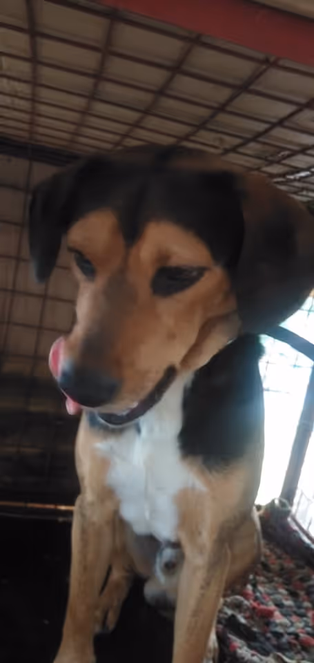 Item #23439807421783349604606688817165201350165750151979961366033252238098339725313 Media