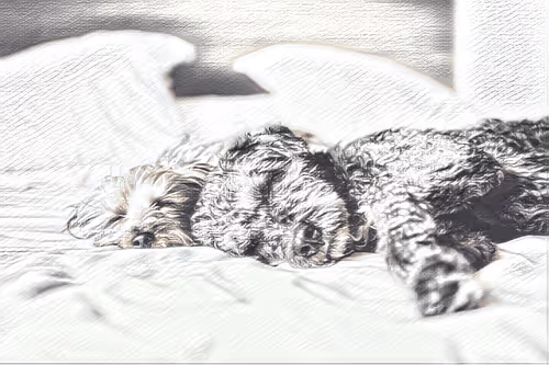 Item #54593652383459731767777383320415424164820202733853921615926635470545754259457 Media