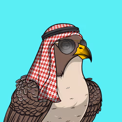 11538255180231465227692626853838225494553623514996908007785703532043215831041